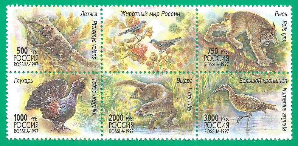Russia 1997  stamps mint MNH - birds