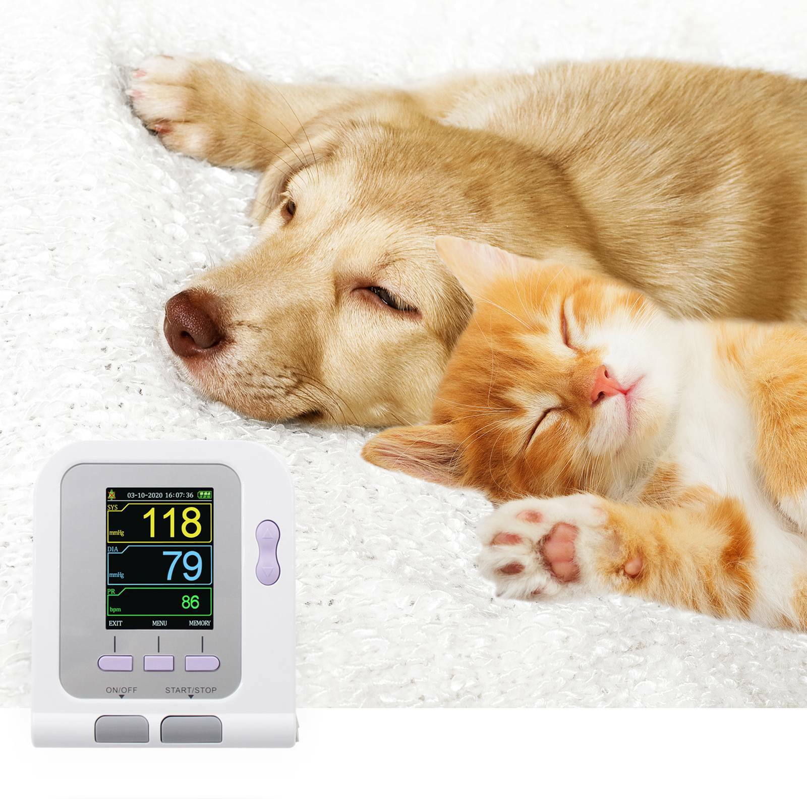 Full Digital Veterinary Blood Pressure Monitor, NIBP Vet Cuff