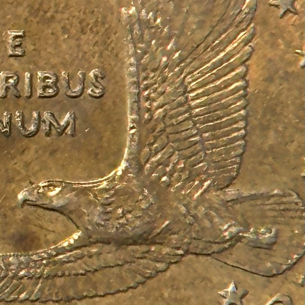2000-P Sacagawea Dollar Wounded Eagle / Speared Eagle Variety. FS901 CIRCULATED!