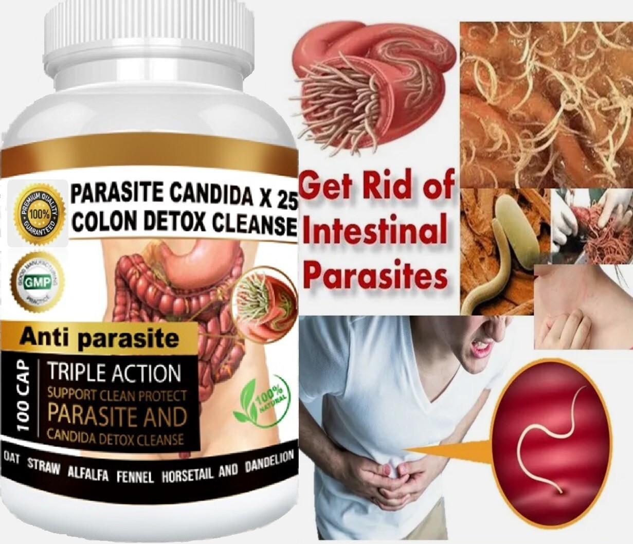 PARASITE DETOX BODY CLEANSE Complex Anti- PARASITE Support Cleanse 100 quick