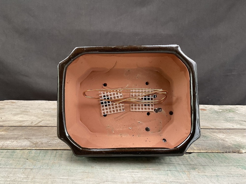 Glazed -Pro Bonsai Pot-w/Tray, Screen And Wire