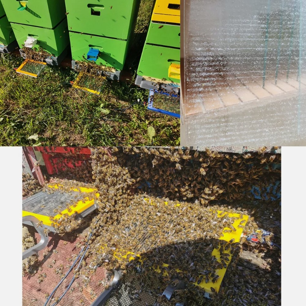 BEE VENOM PROFESSIONAL COLLECTOR