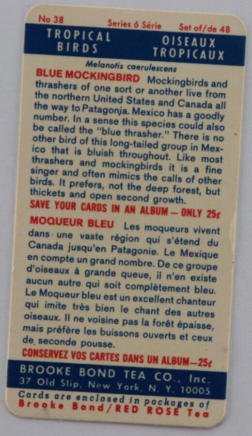BROOKE BOND TEA BLUEBIRD MOCKINGBIRD TRADING CARD 1963 No38