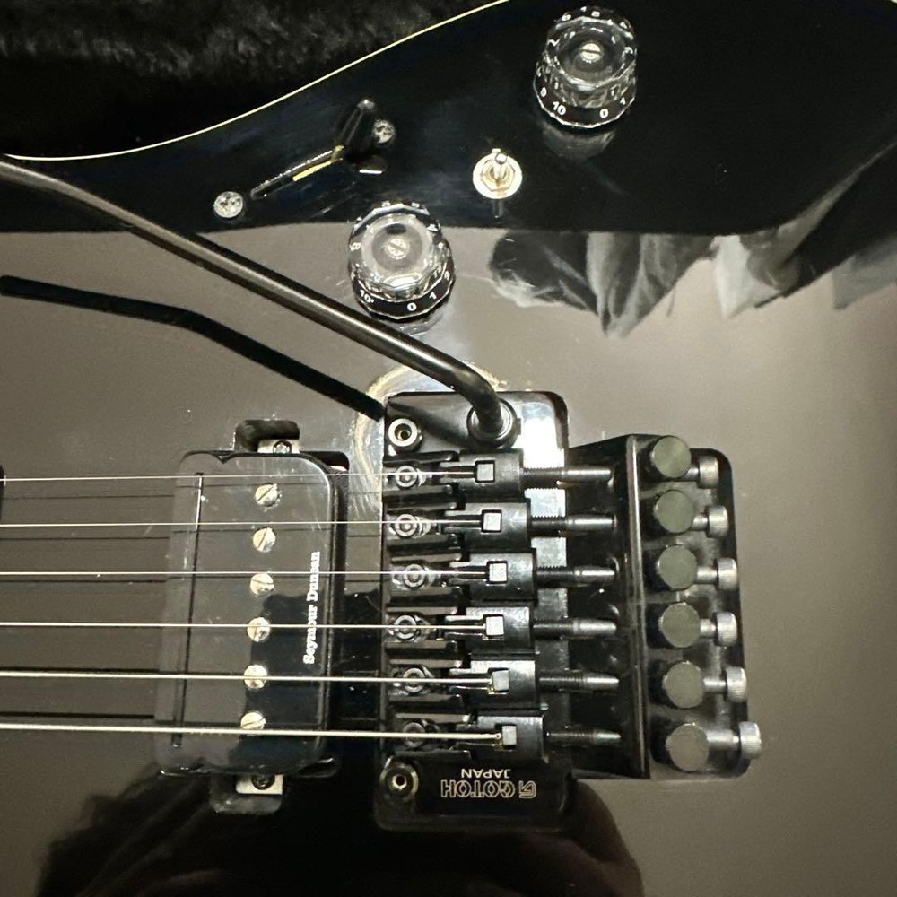 Futra/Mr. Nishio collaboration model, many customizations