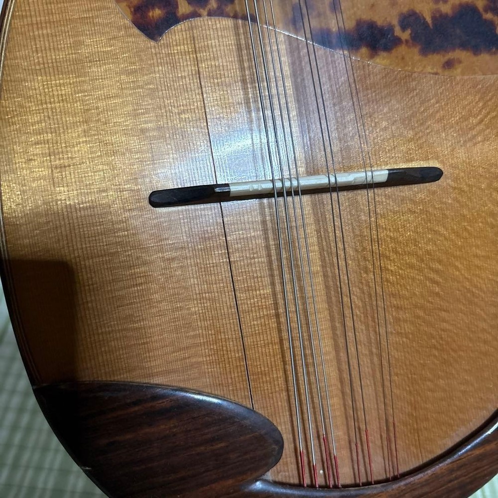 Raffaele Terada Musical Instruments High End Mandolin RM-3 String Used From JPN