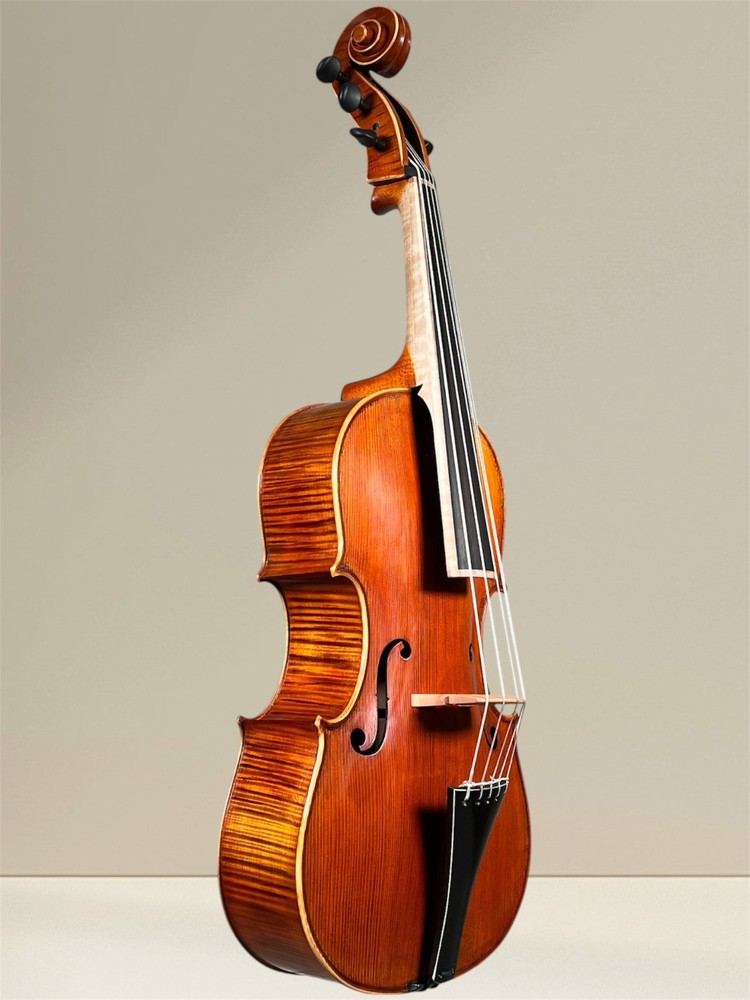 Simon Joseph 5 string cello (cello) da Spalla, to hang