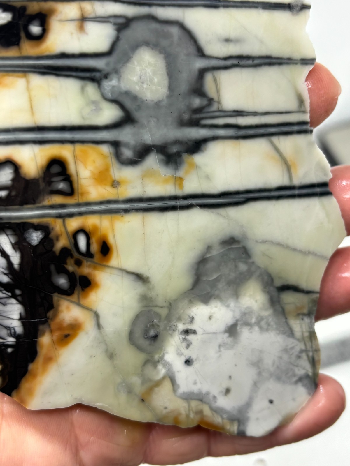 Picasso Marble (Jasper) end Slab Cabbing Lapidary Utah Combo Ship Avail