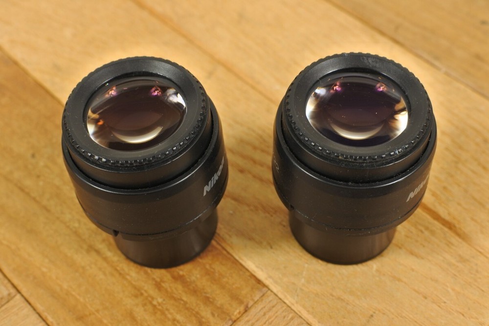 Nikon CFI 10X/22 Microscope Eyepiece Pair for Eclipse, E & I Series from Japan