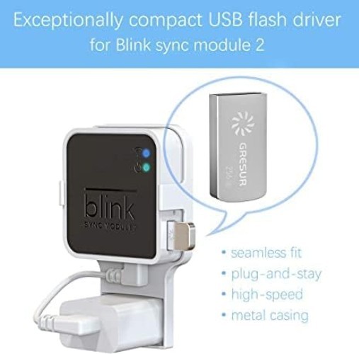 Lightweight USB Flash Drive 256GB with Easy Mount for Blink Module 2 - 2 Pack