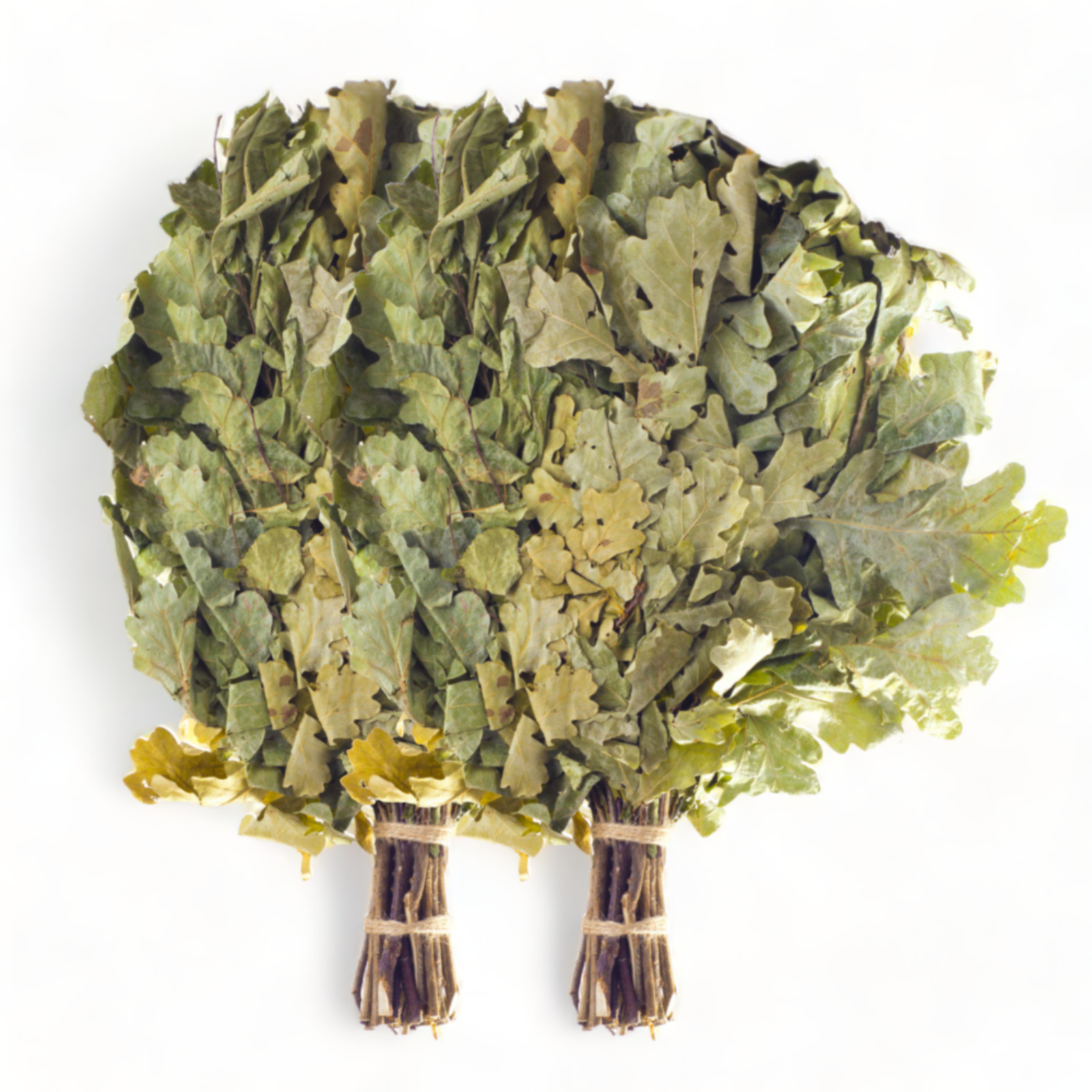 SET OF 2 Oak Sauna Whisk Banya Venik Sauna Broom ДУБОВЫЙ ВЕНИК БАННЫЙ