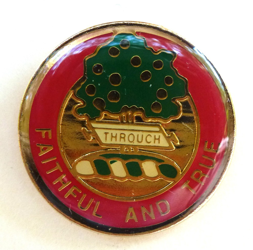 5th Field Artillery Regiment  Pin (pair)