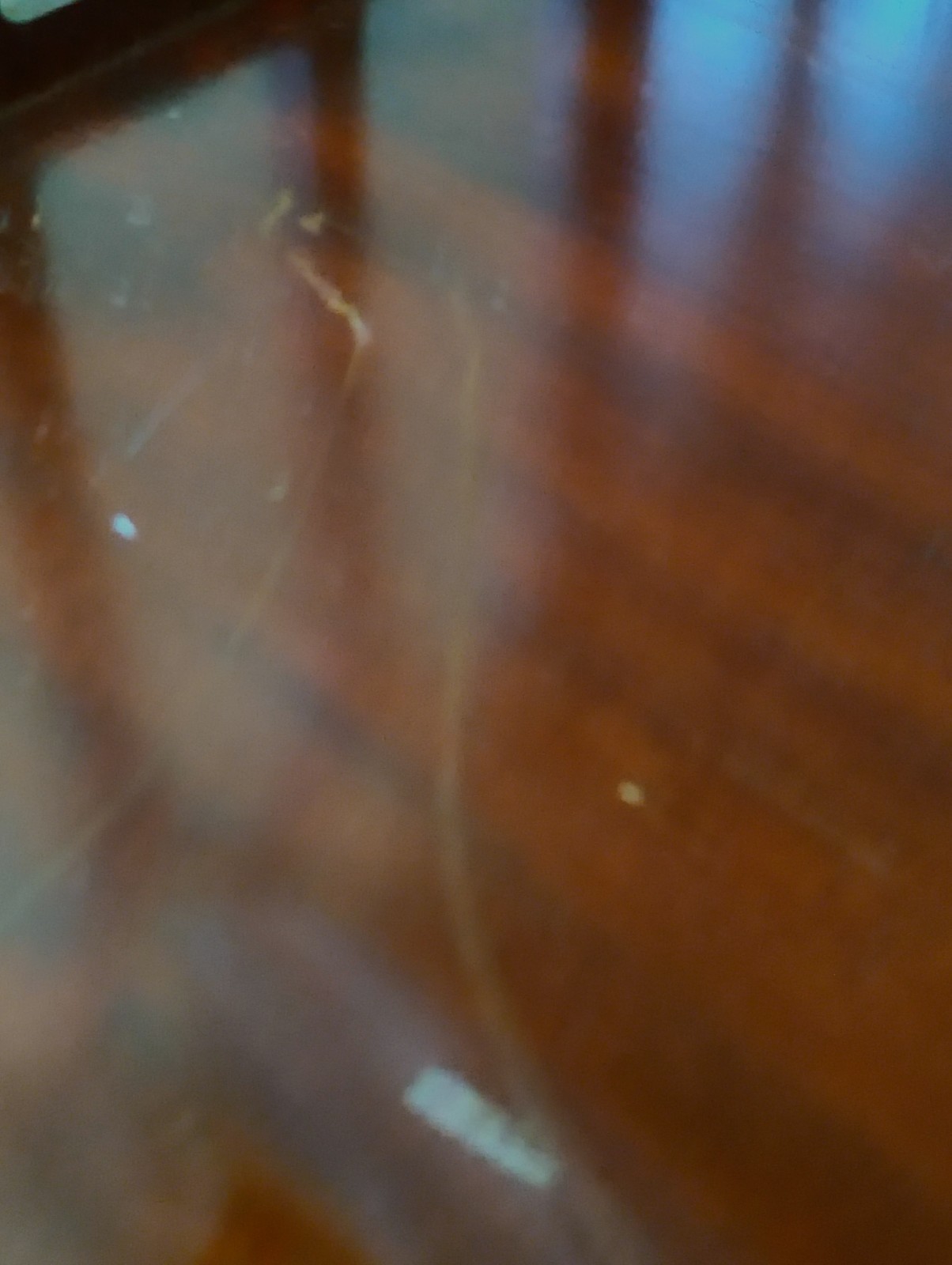 WEEKEND SALE ....Antique Butler model #604 bookcase with Cathedral cutout sides.