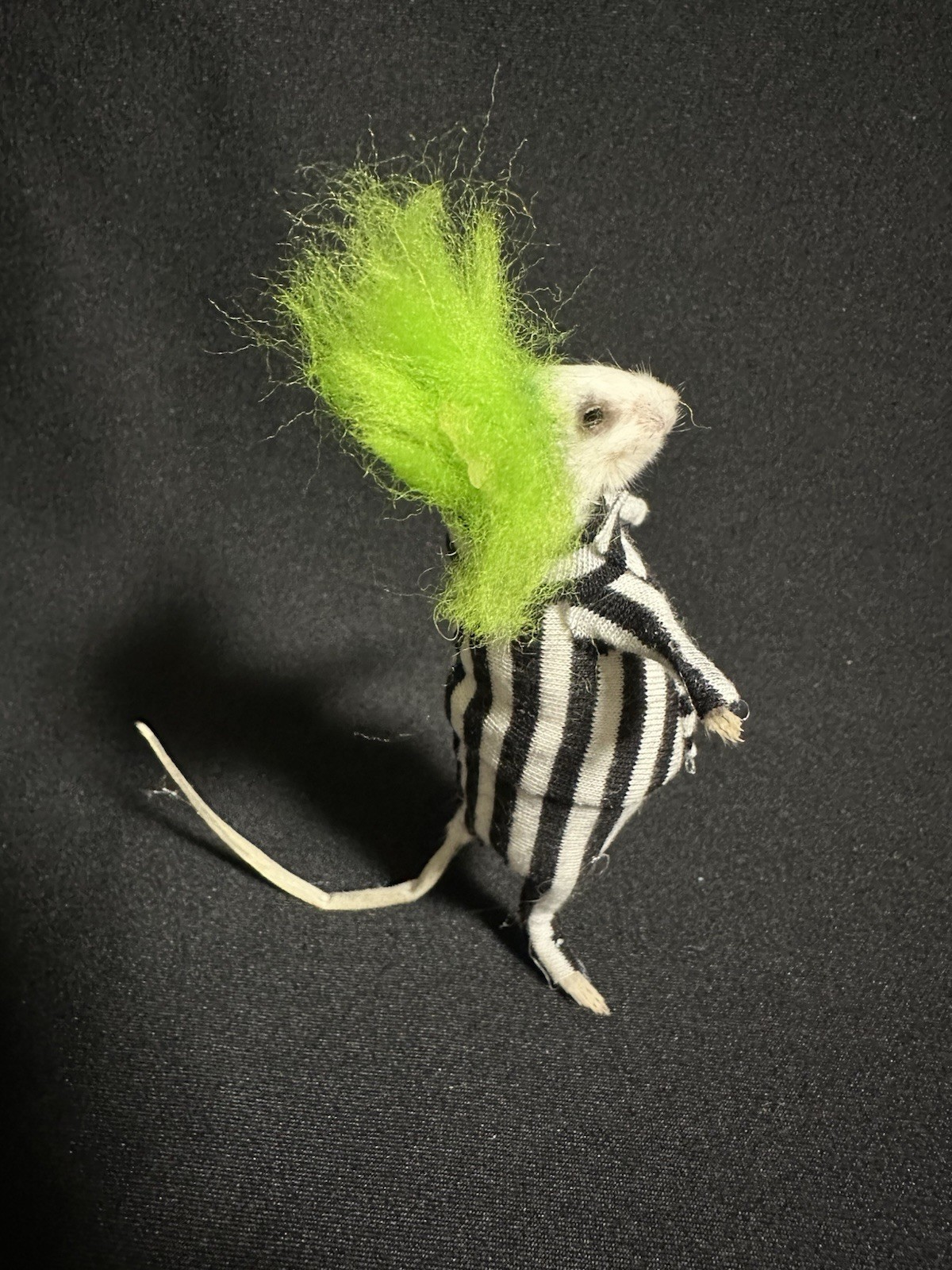 Taxidermy Mouse Beetlejuice Mouse Oddities Curiosities Taxidermy Art