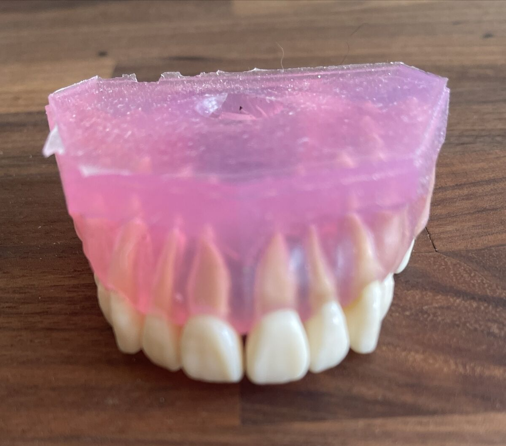 DENTAL TYPODONT UPPER Removable Teeth Soft Oral Demonstrating Practice ODDITIES