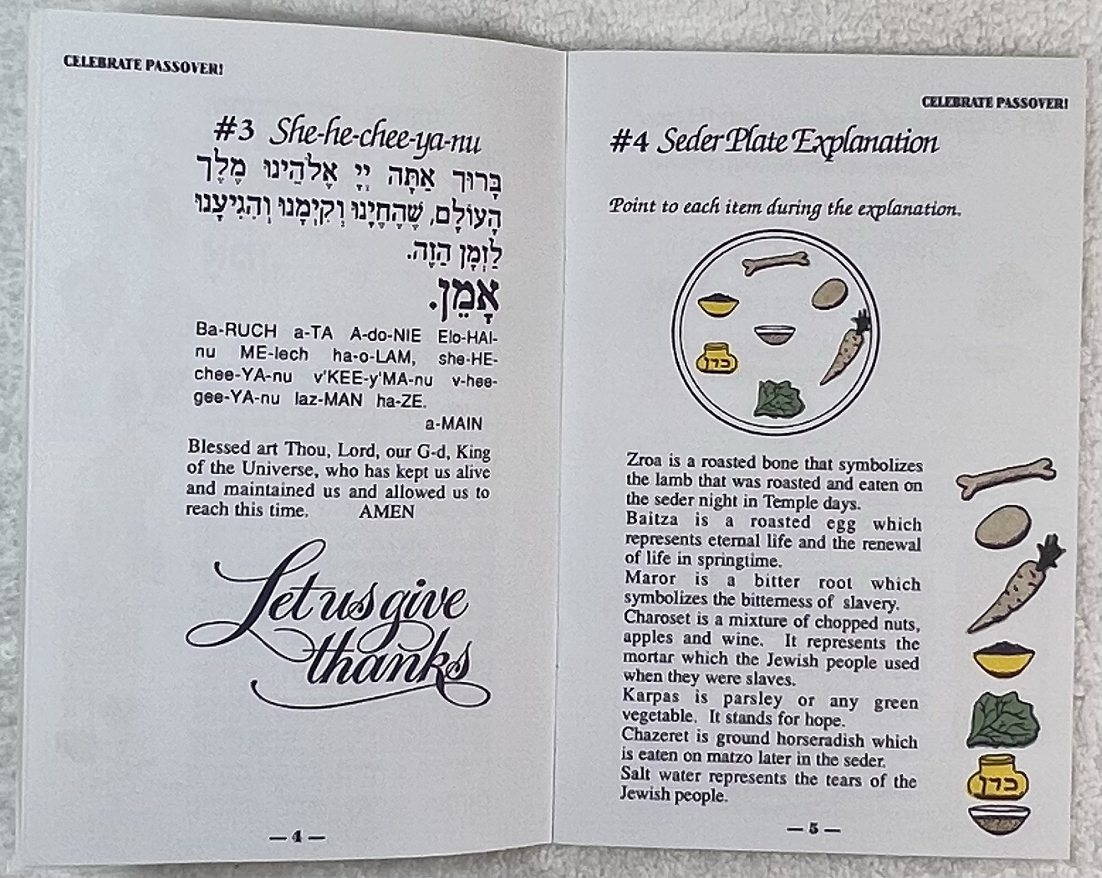 A Family Seder in 20 EASY Steps! Haggadah f/ Passover in a modern way-Lot of 10