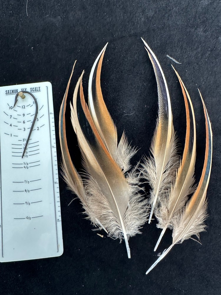 Premium Bali Duck feathers