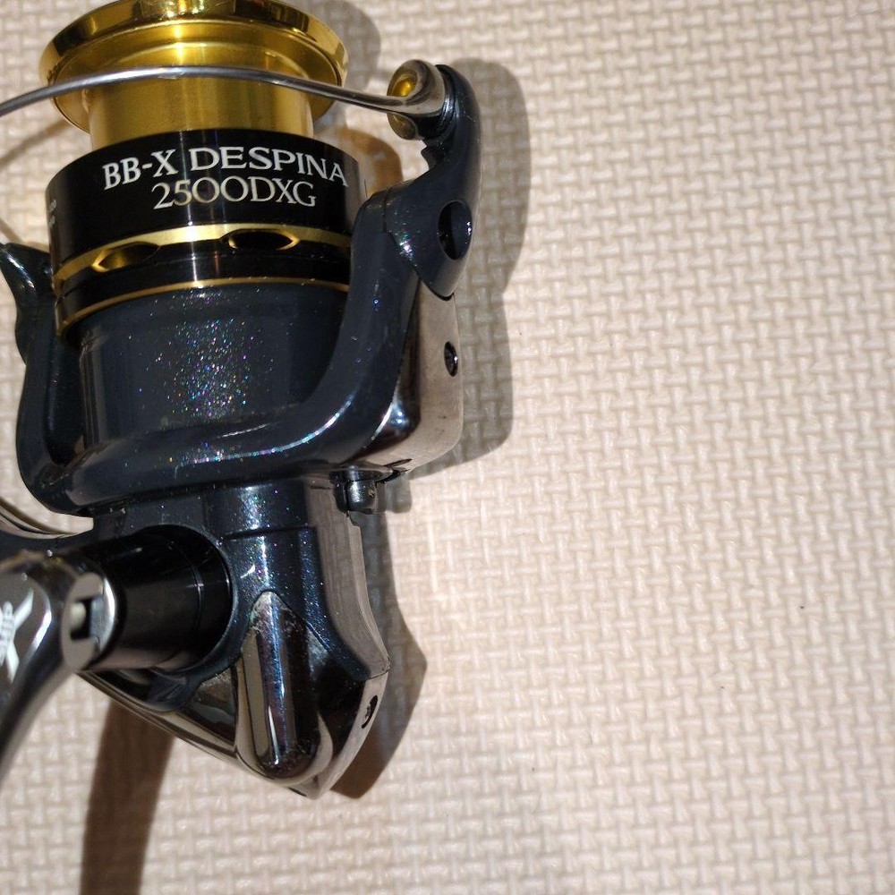 BB-X DESPINA 2500DXG