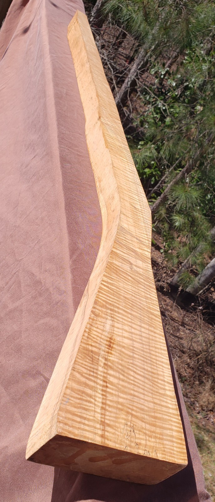 🔥 EXTRA CURLY TIGER MAPLE FULLSTOCK BLANK SLAB MUZZLELOADER LONGRIFLE HAWKEN