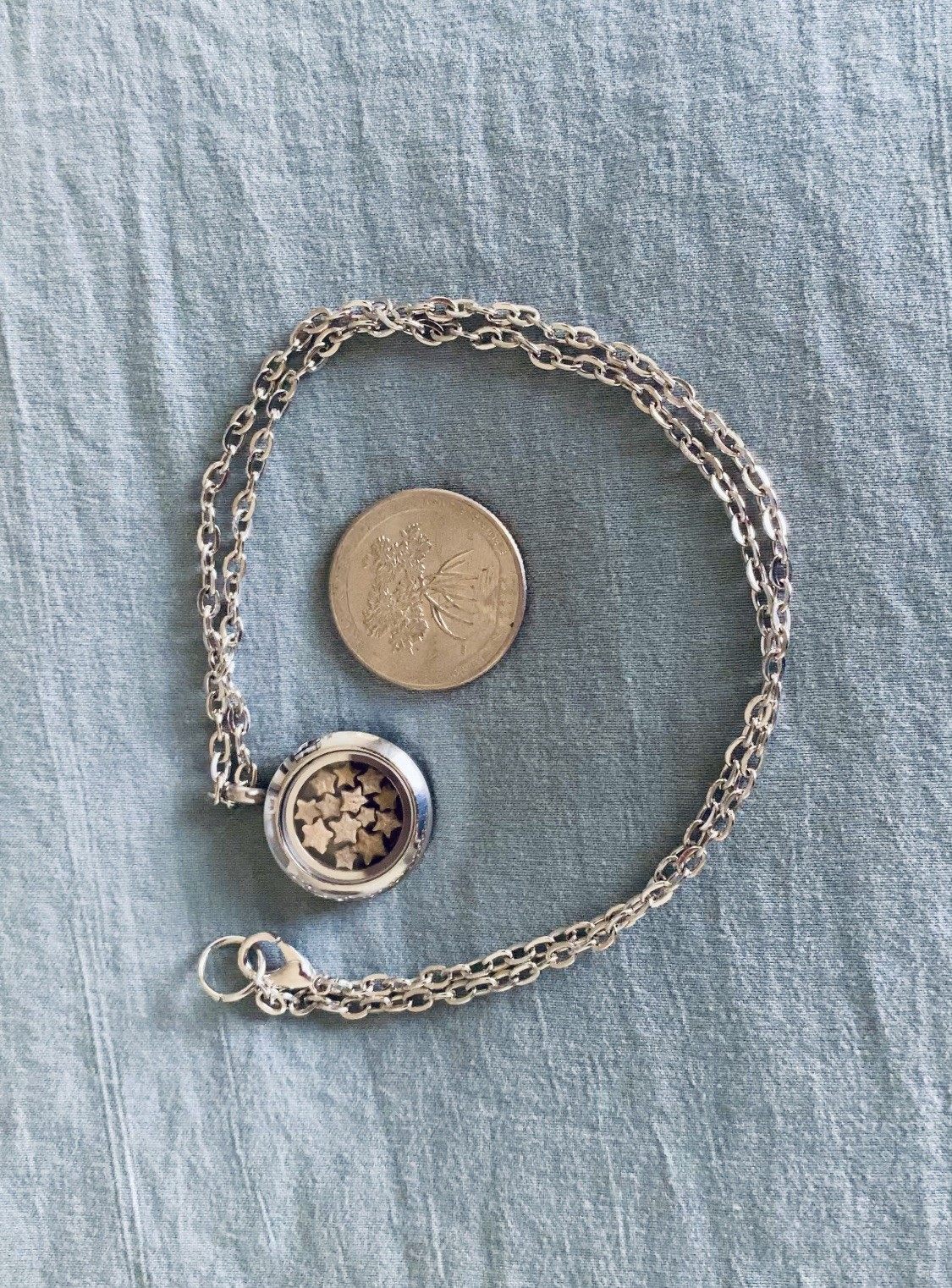 Silver-Tone Crinoid Star Fossil Locket Necklace