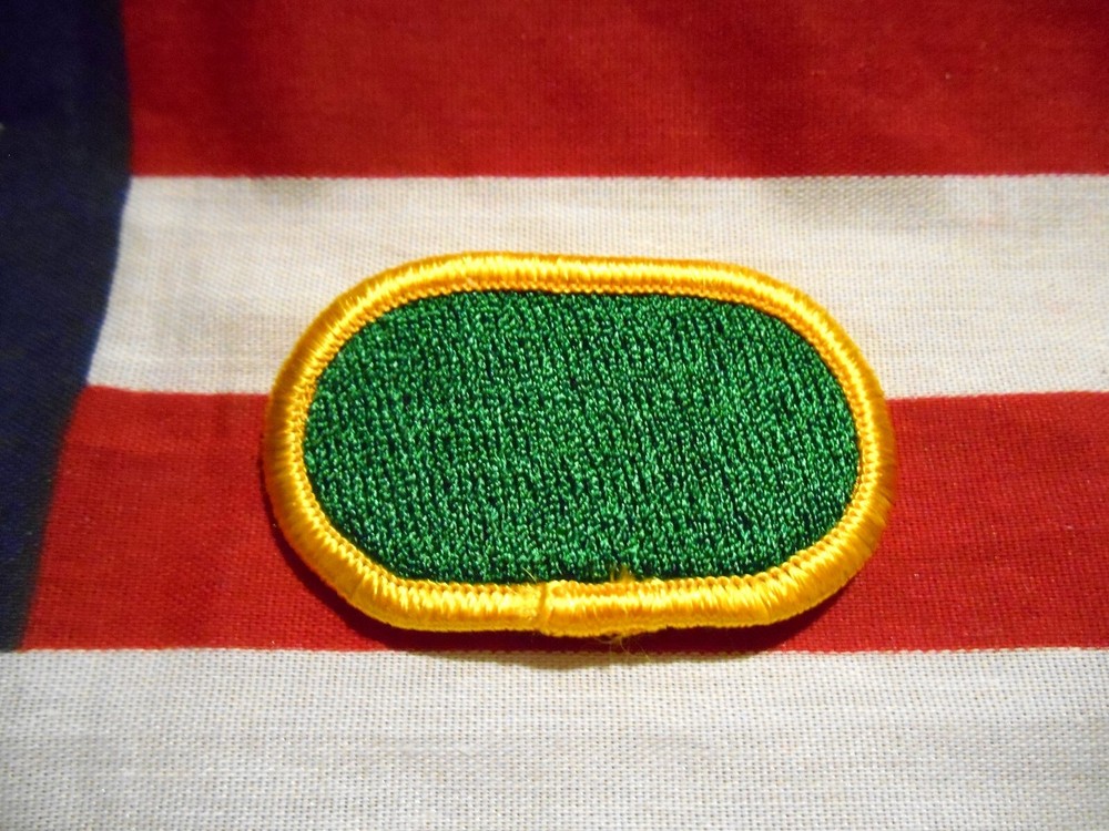 SOUTHERN TASK FORCE AIRBORNE PARA OVAL