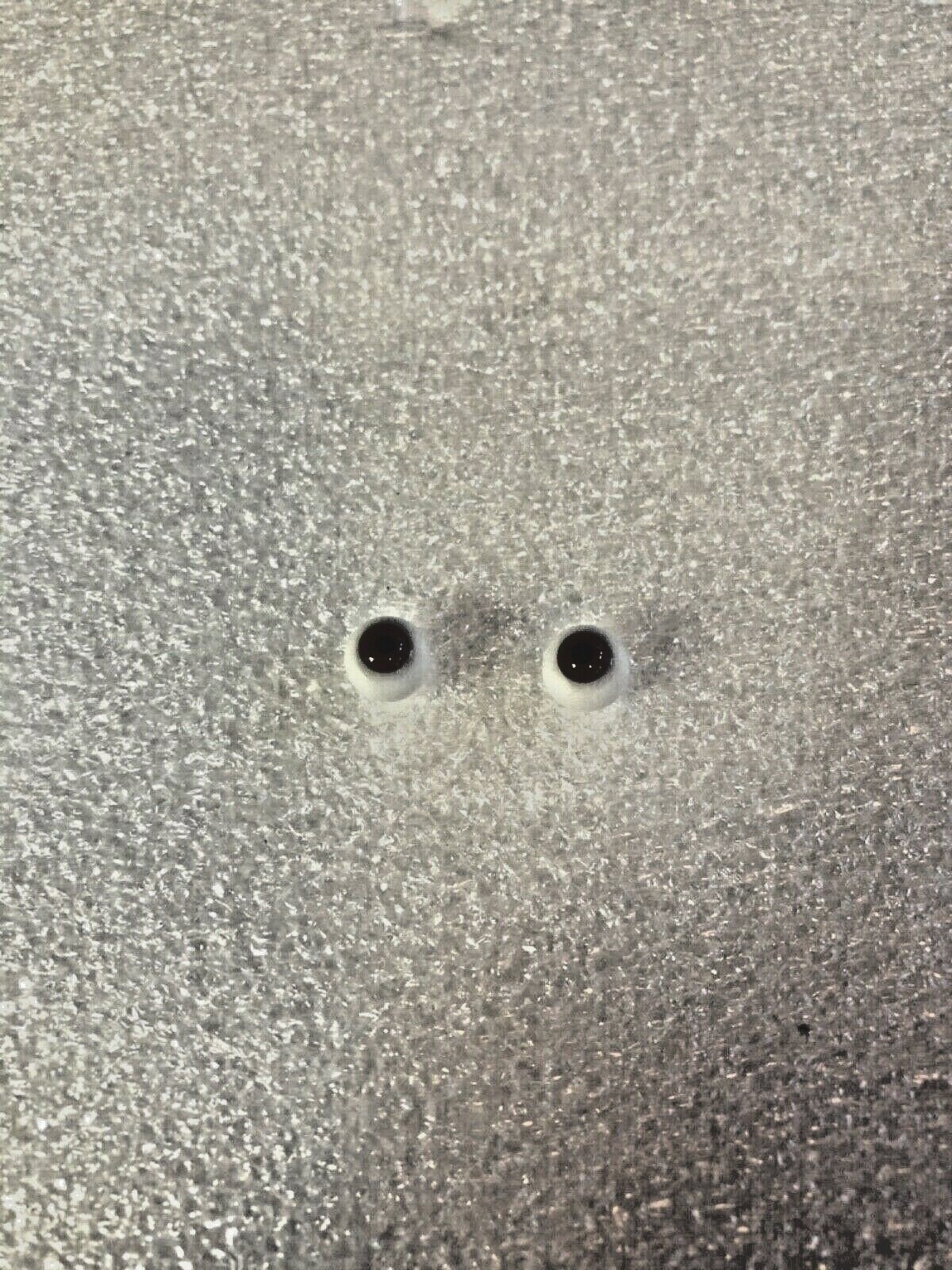 GERMAN BLOWN GLASS DOLL EYES WITH CRYSTAL LENS, FINEST QUALITY, 8mm - 26mm