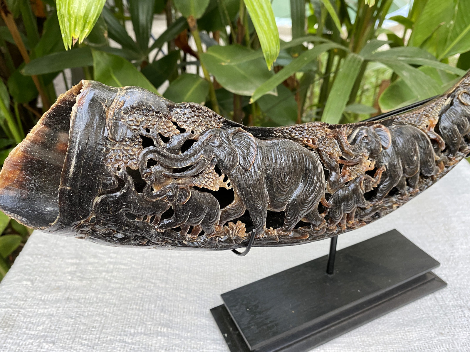 Carved Buffalo Horn Waterbuffalo Bone Carving Horn Carving Elephant Horn Carving