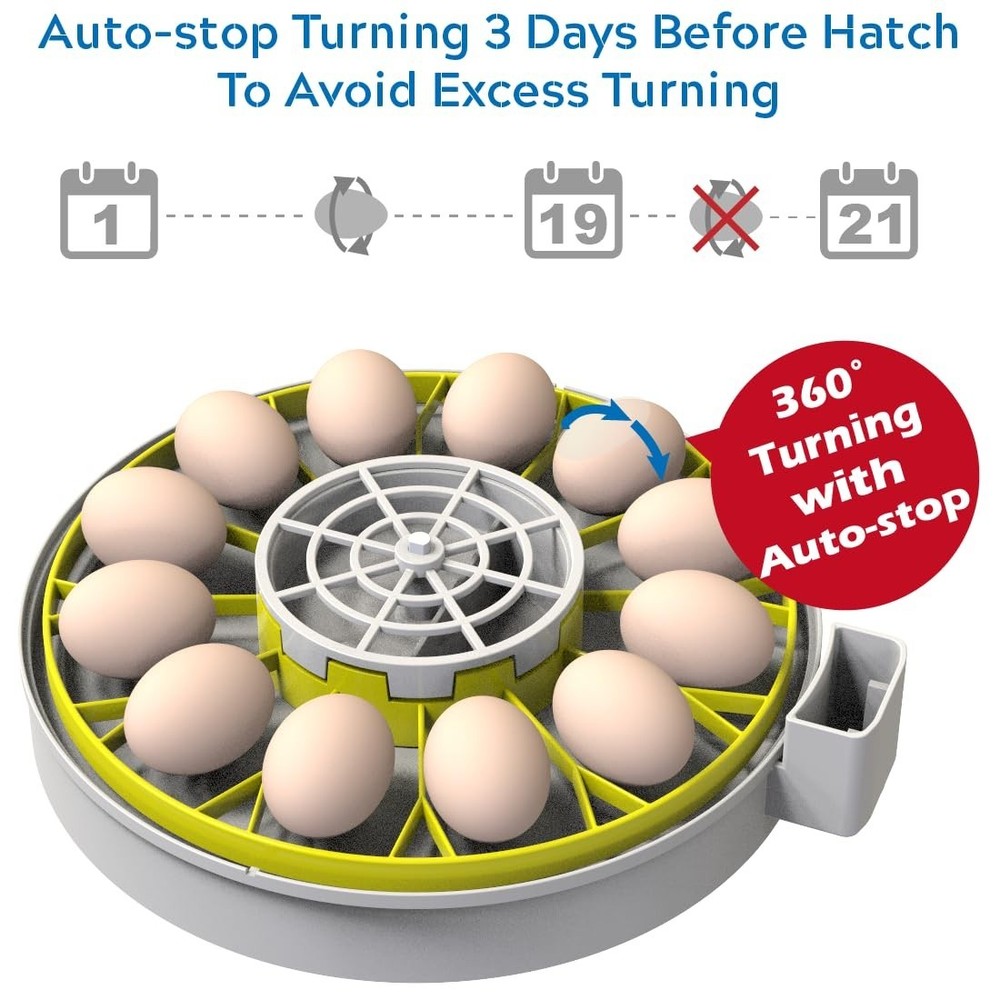 12 Egg Incubator: Stable Temperature & Automatic Turner for Chicken Hatching