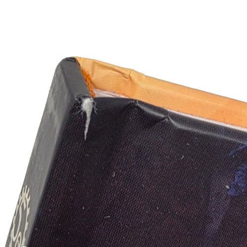 A Life Well Lived 5e Pre-owned