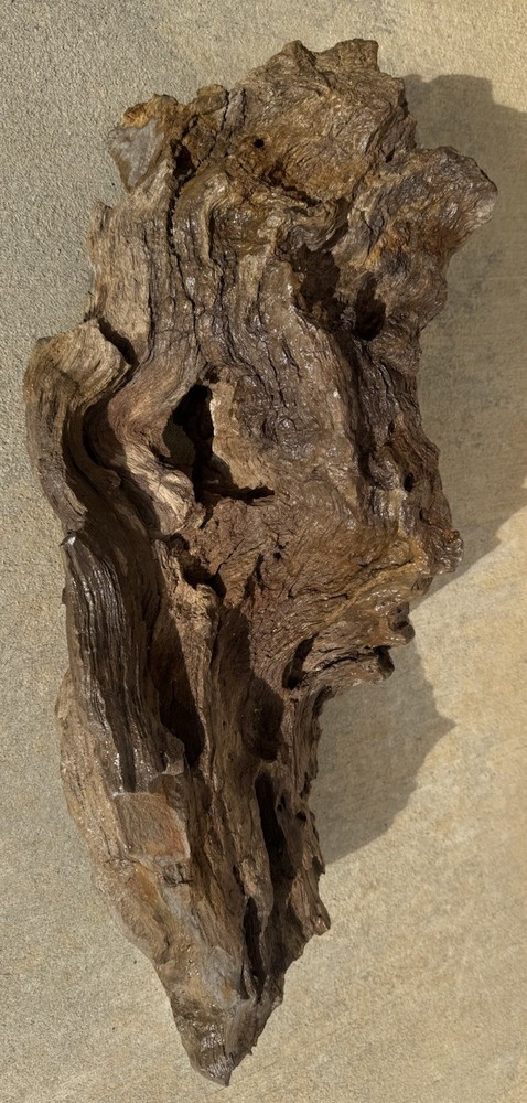 PETRIFIED LOG Large Piece.