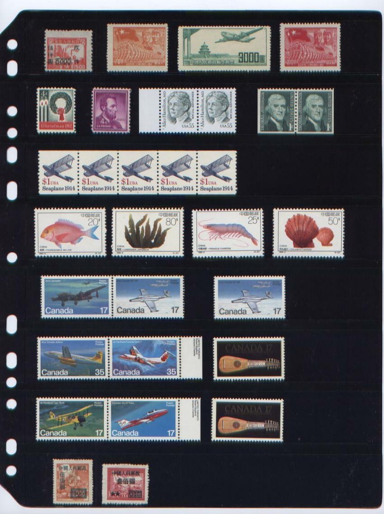 ANCHOR 50 Stock Pages 8S (8- rows) Black Double Sided/ FREE EPEDITED SHIPPING.