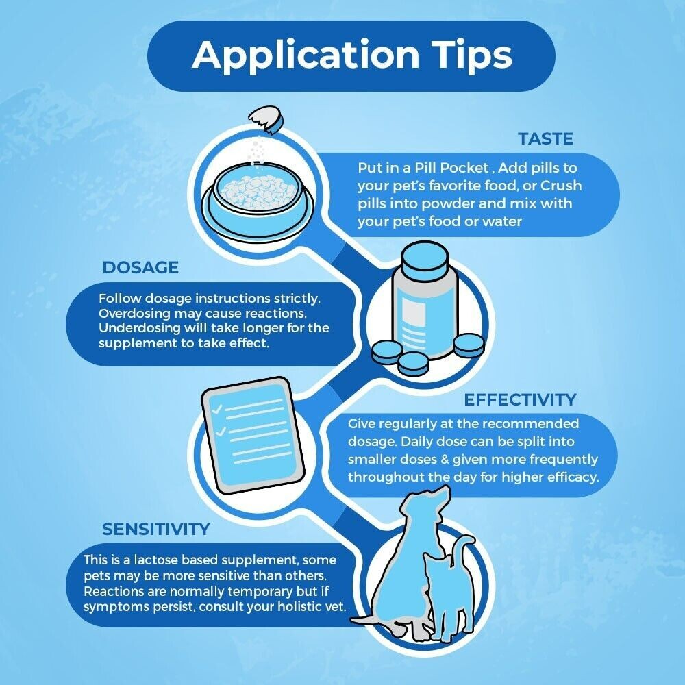 Constipation Relief for Dogs Natural Laxative Stool Softener, Helps Digestion