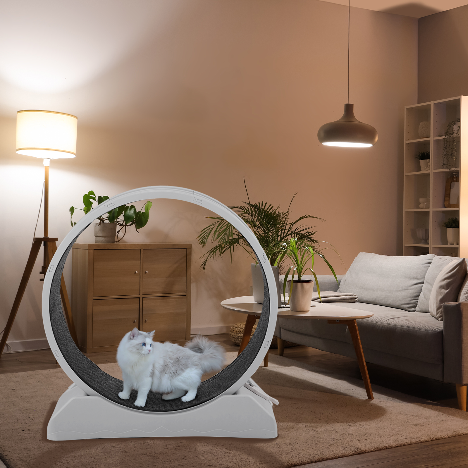 Cat Exercise Wheel Large Cat Treadmill Running Wheel for Indoor Cats 34.7 inch