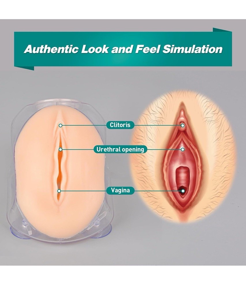MedEduQuest Female Catherization Simulator For Students
