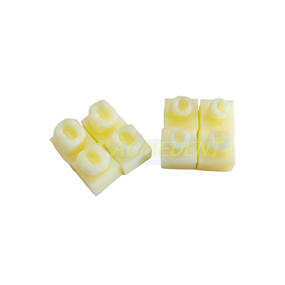 Dental Caries Decay Teeth Model Tooth Simulate Class Ⅱ Resin Restore Template