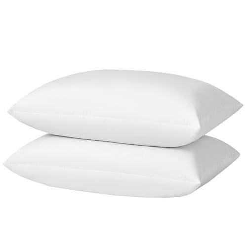 basic home Queen Size Goose Feather & Down Bed Pillow - 100% Odorless 20x28
