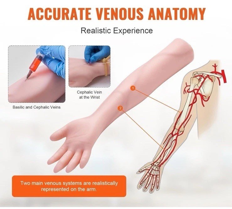 Advanced Venipuncture Arm Model