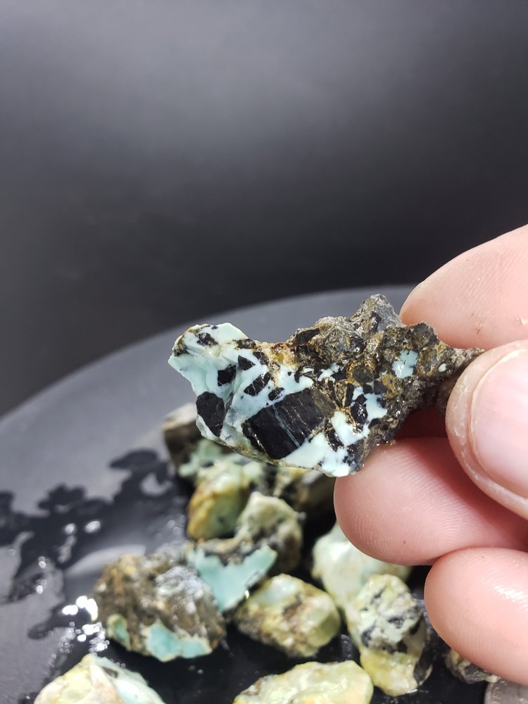 Nevada Gecko Variscite Rough 1/4 Lb
