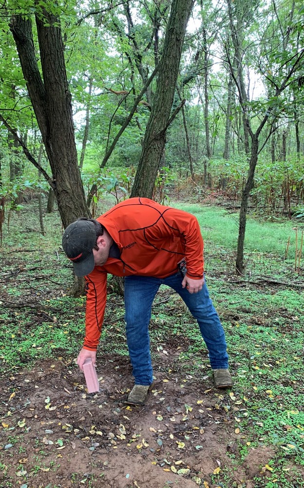 2-Pack Time-Released Deer Salt Block, 4lbs Each, Long-Lasting