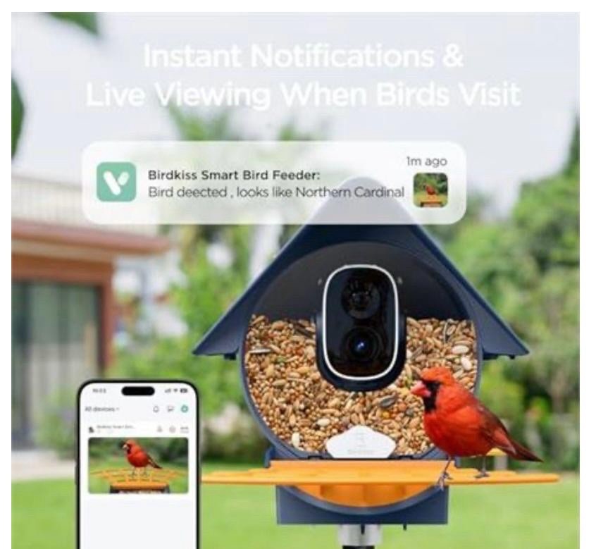 Smart Bird Feeder Camera Kit with 32GB Memory and Solar Panel