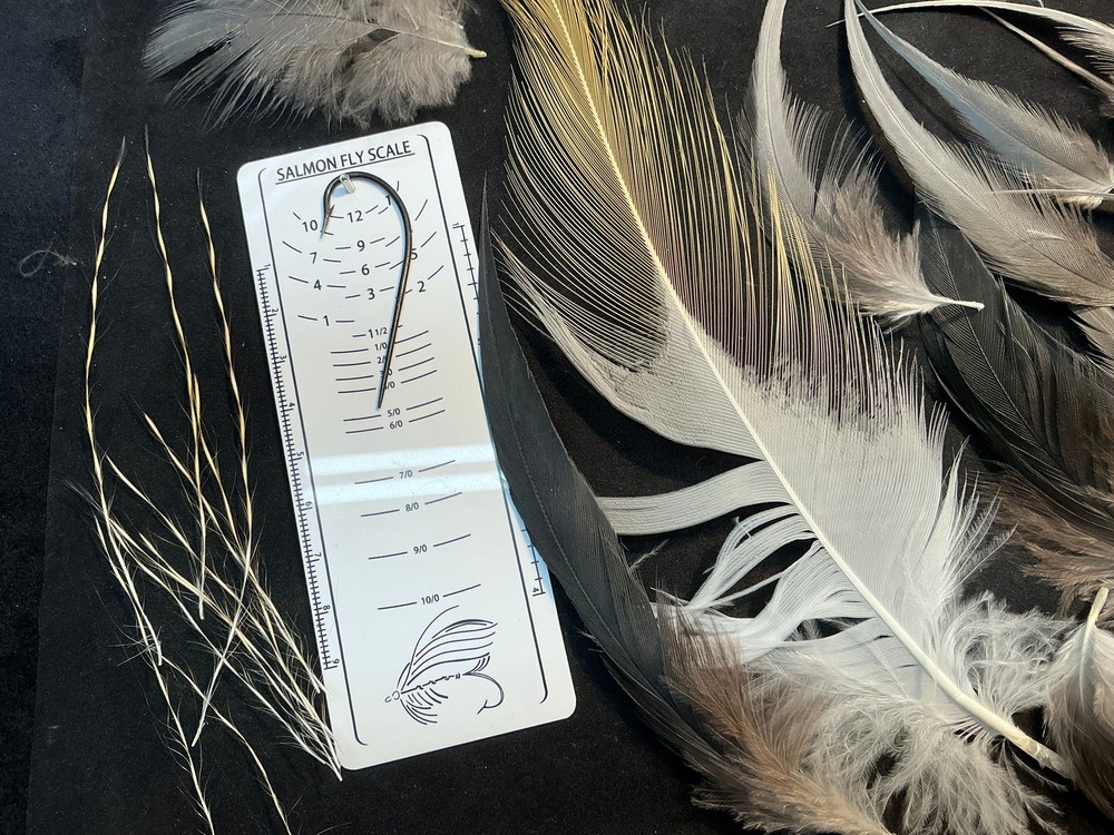 African Crowned Crane