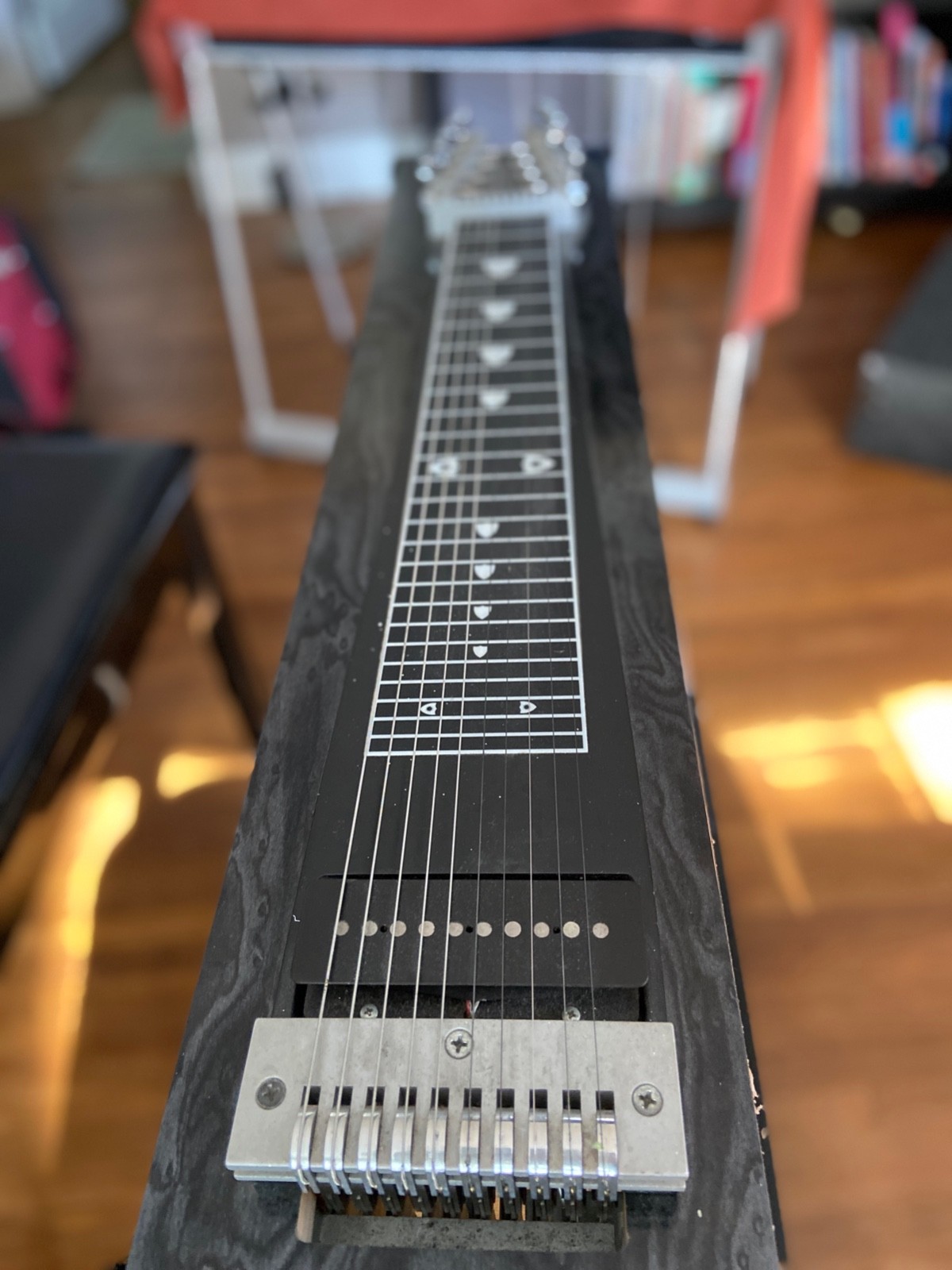 Carter Starter Pedal Steel Guitar with Hard Case - VGC