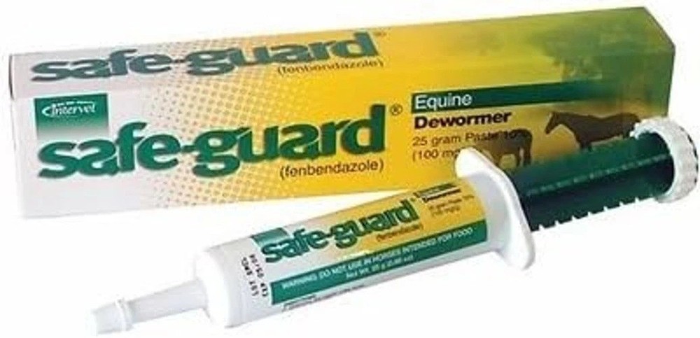 Safe-Guard Equine Paste 10% Fenbendazole Horse Wormer Control Lungworm Stomach a