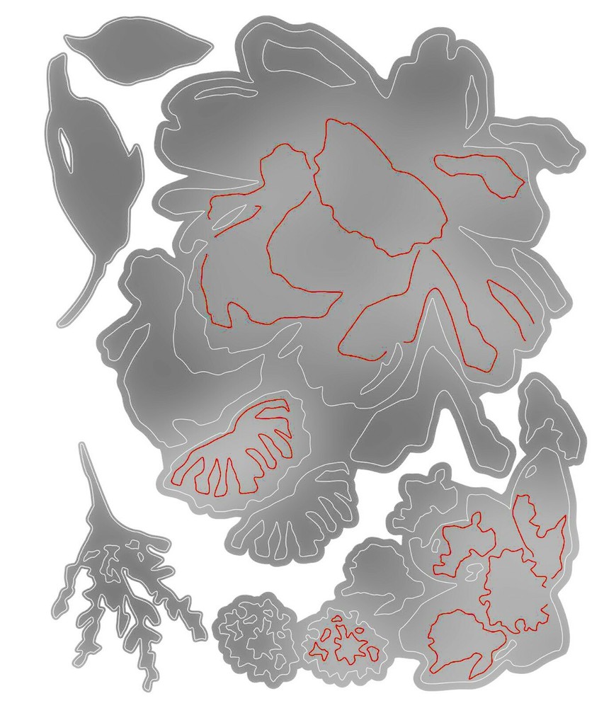 Sizzix Thinlits Brushstroke Flowers #3 5pc set #665360 Retail $19.99 Tim Holtz