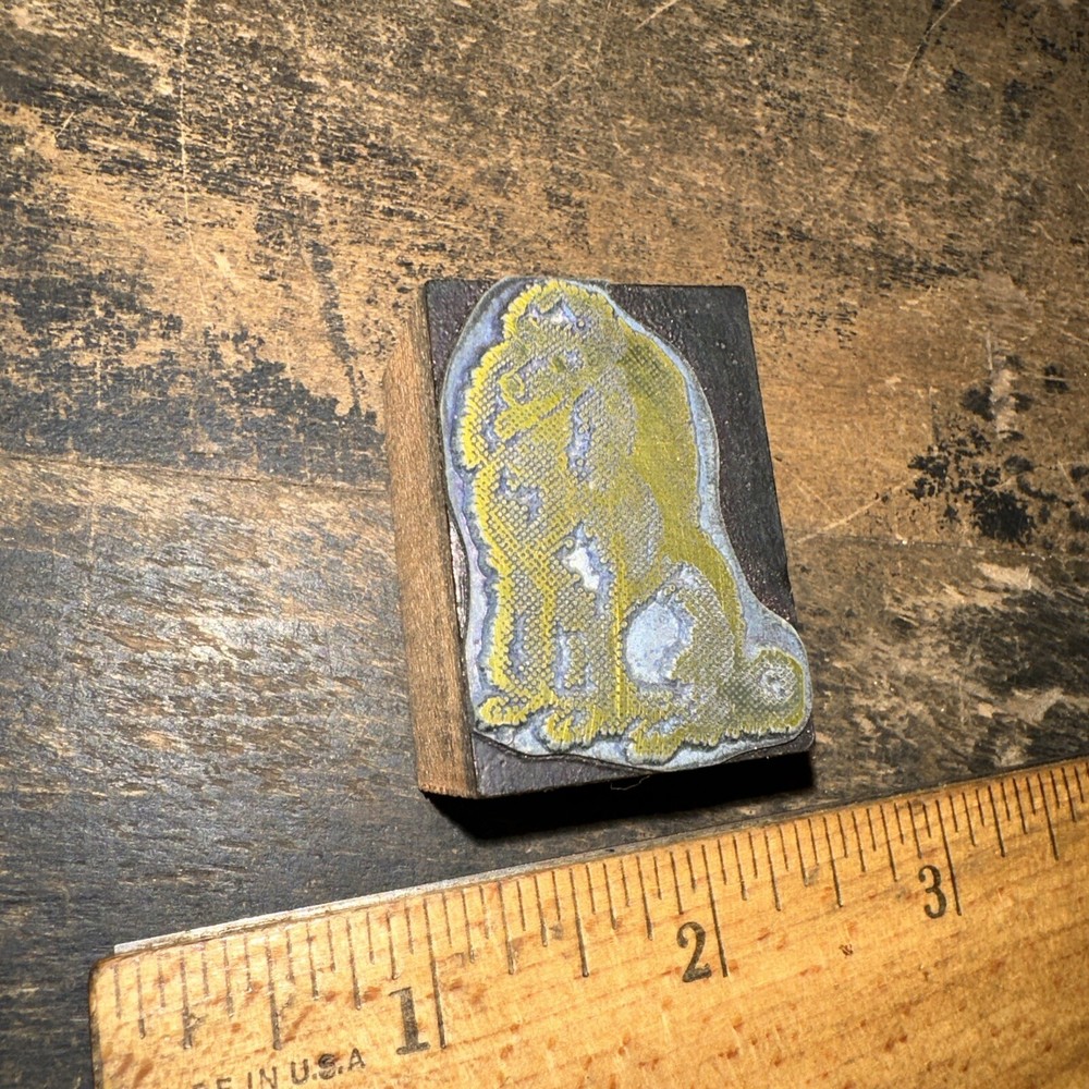 Print Block ( Cute Dog Poodle ) Nice Image!￼