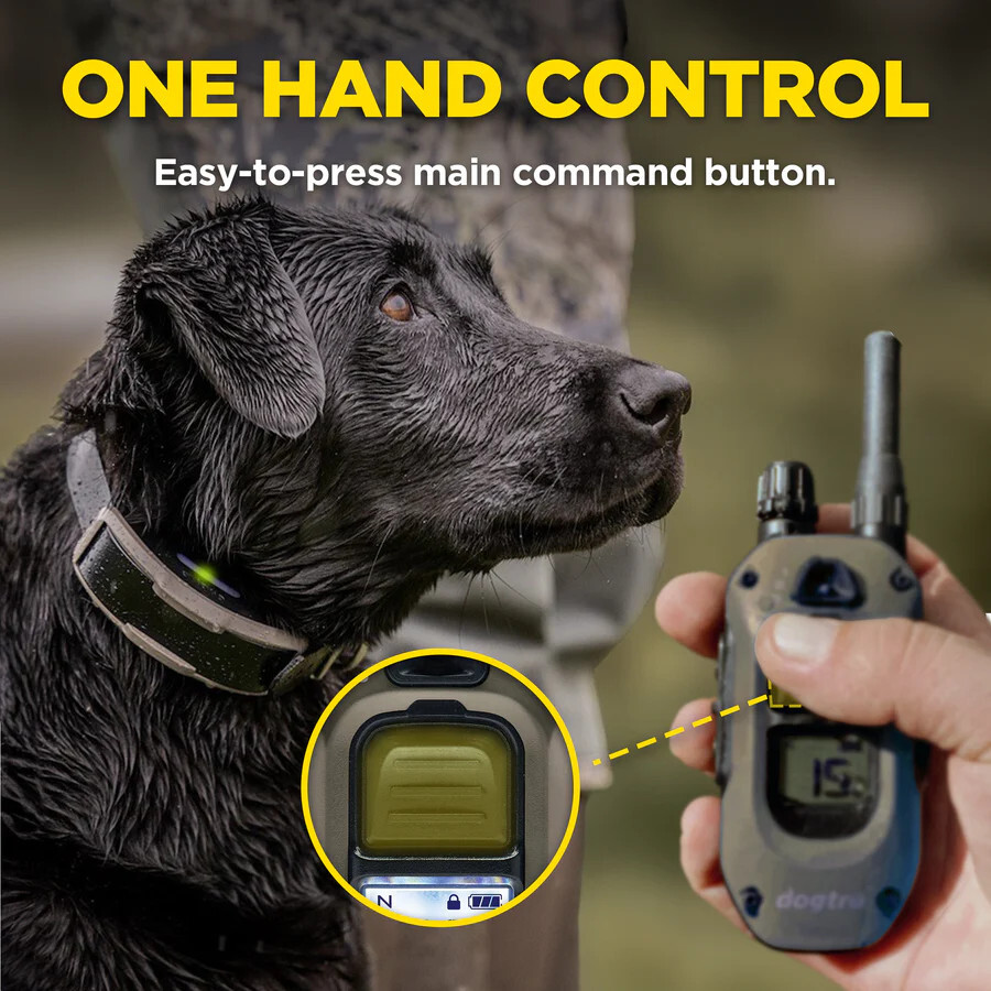 Dogtra 1900X 2 Dog Remote Training Collar 3/4 Mile Range, Boost and XPP Vibratio