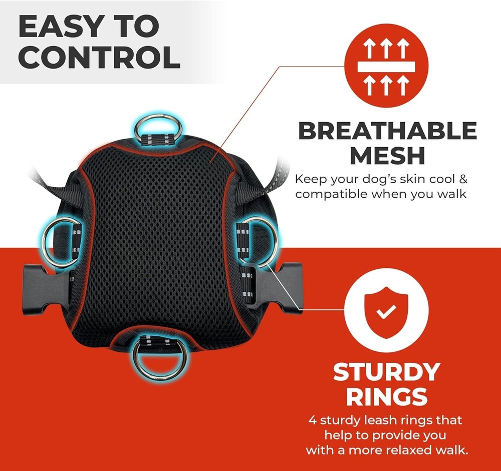 Balbari Dog Backpack Harness (Sky Blue, Medium) (Sky Blue, Medium)