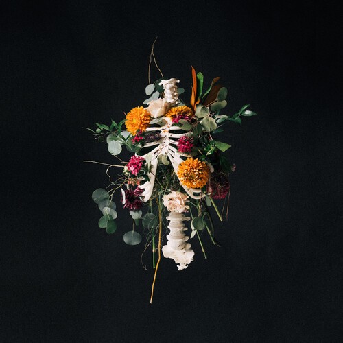Elevation Worship - Graves Into Gardens [New CD]