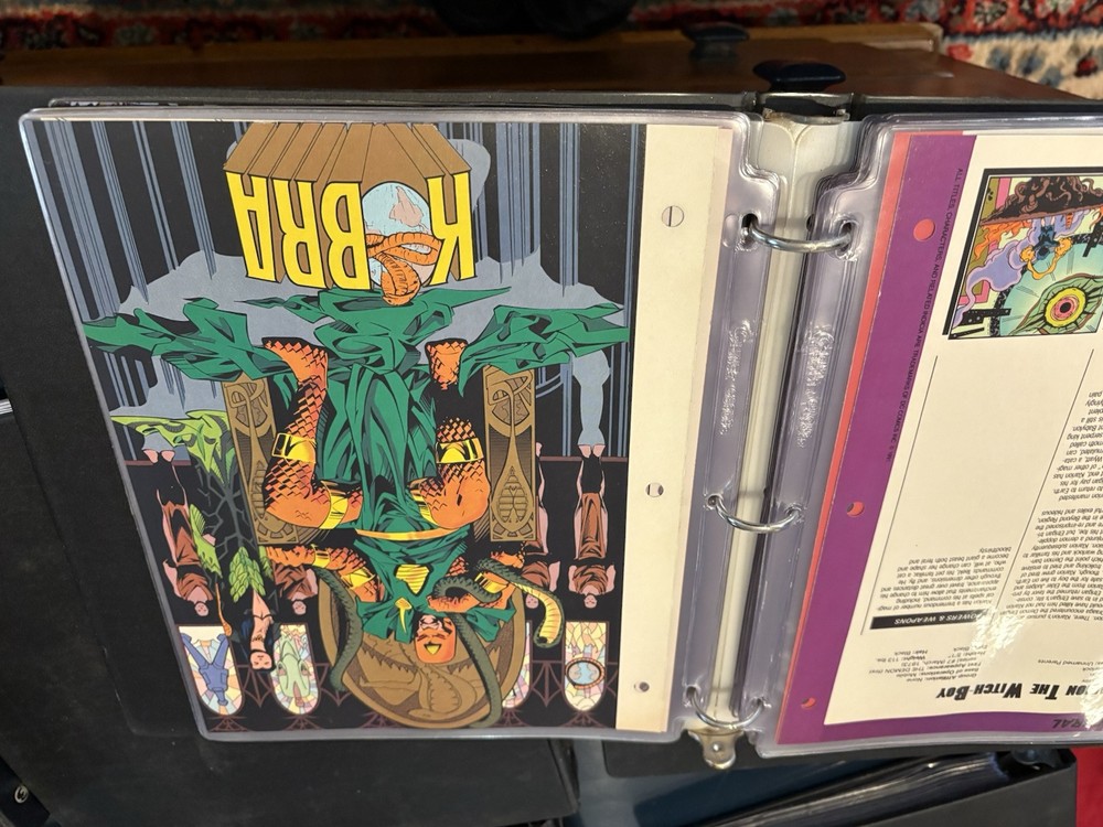 Comic Book Bio Binder