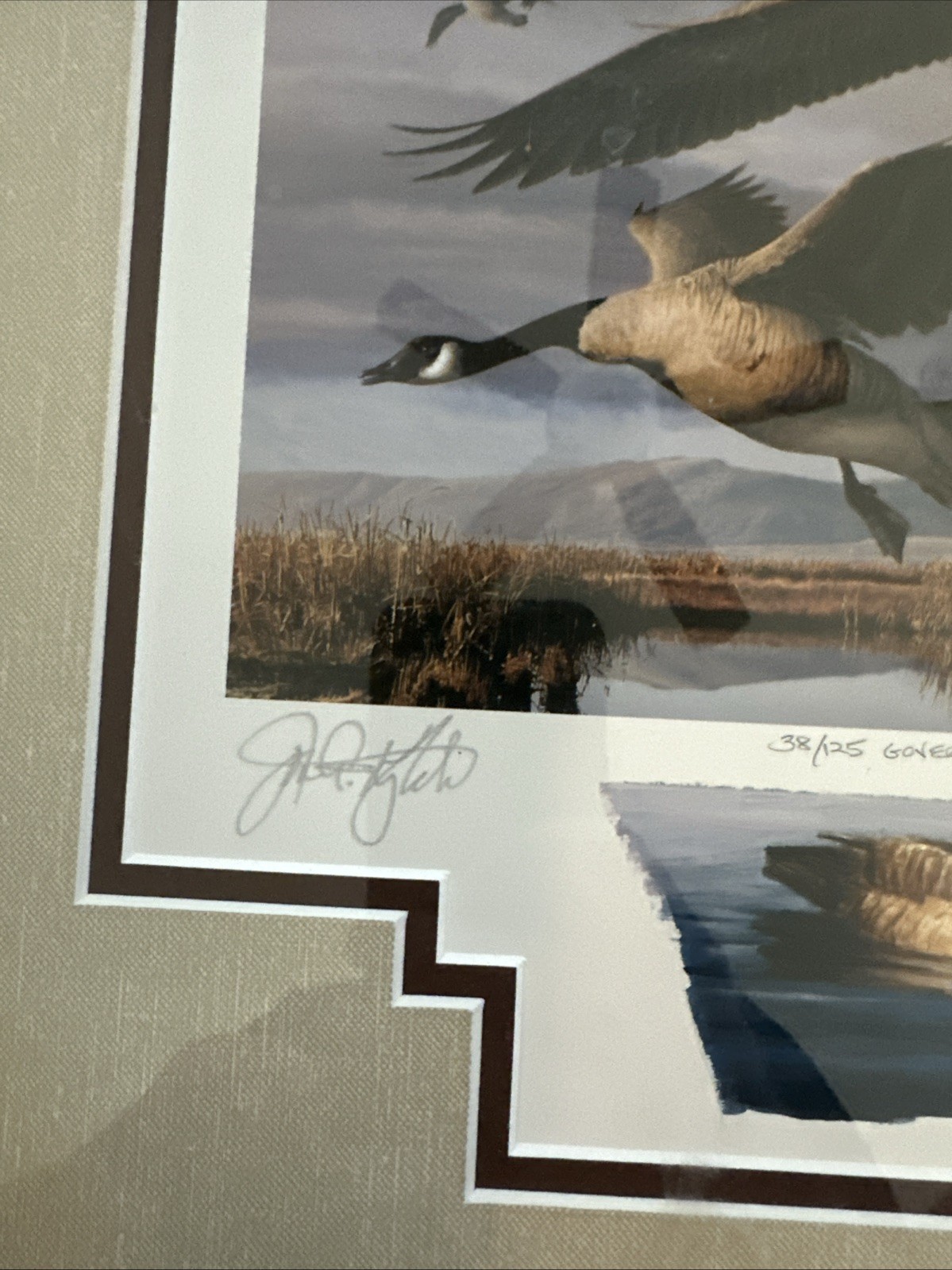1999 Oregon - State Duck Stamp Print ROBERT STEINER Governors Edition 38/125