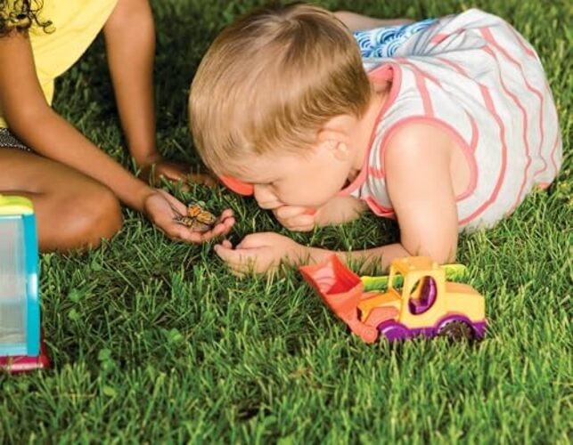 – Bug Bungalow Insect Catching Kit with Mesh Case, Magnifying Bug Catching Kit
